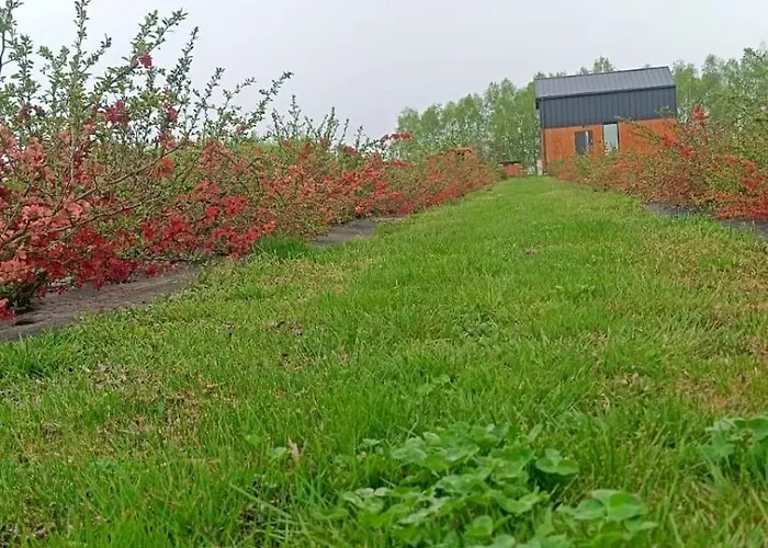 Pigwowcowe Zacisze *